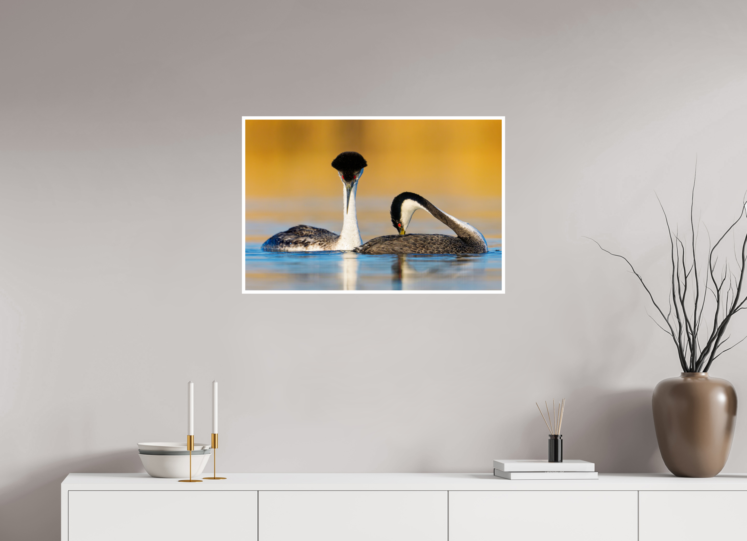 30 x 20″, Hahnemuhle FineArt Baryta Pair of Western Grebes in Courtship
