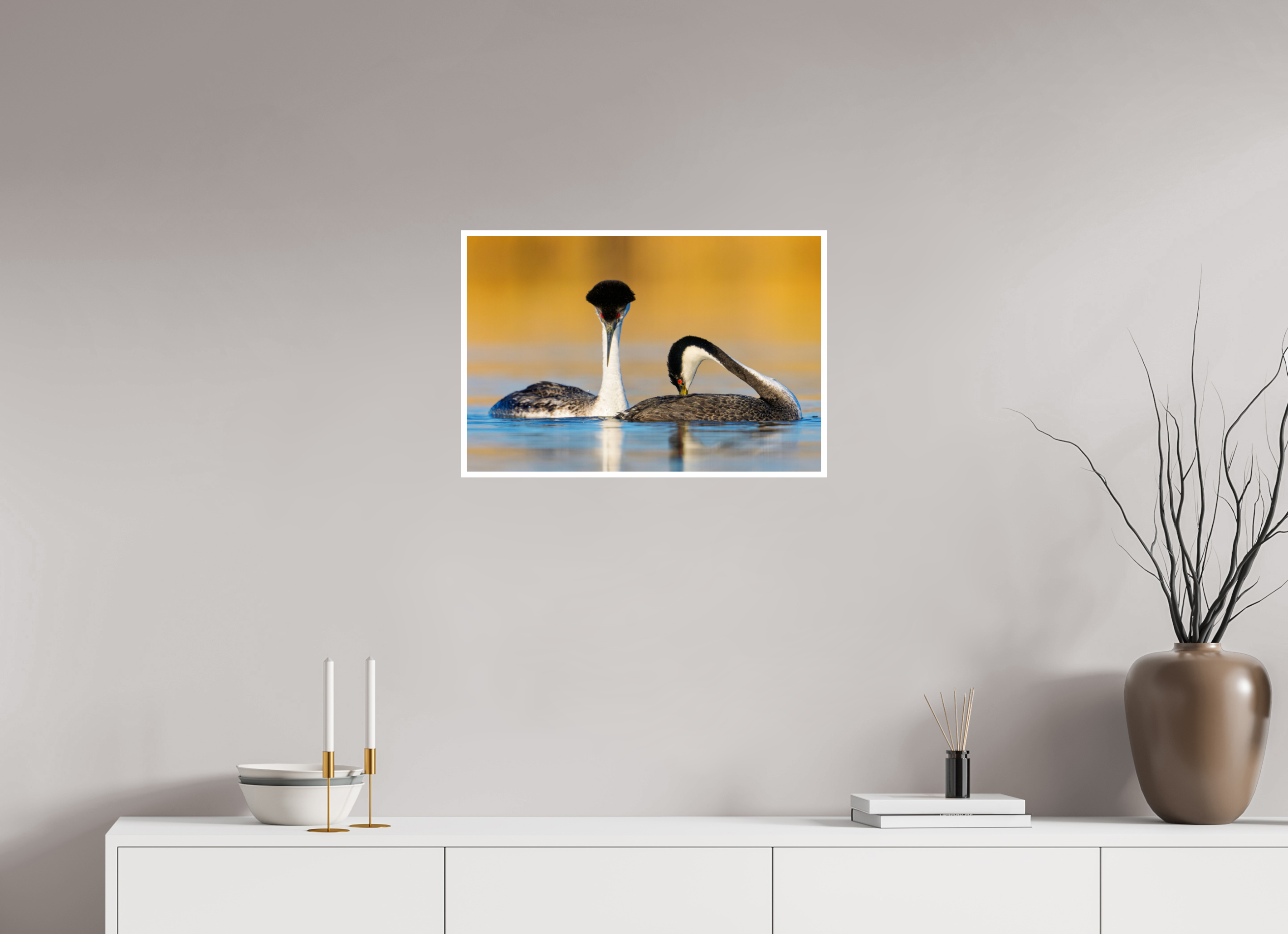 24 x 16″, Hahnemuhle FineArt Baryta Pair of Western Grebes in Courtship