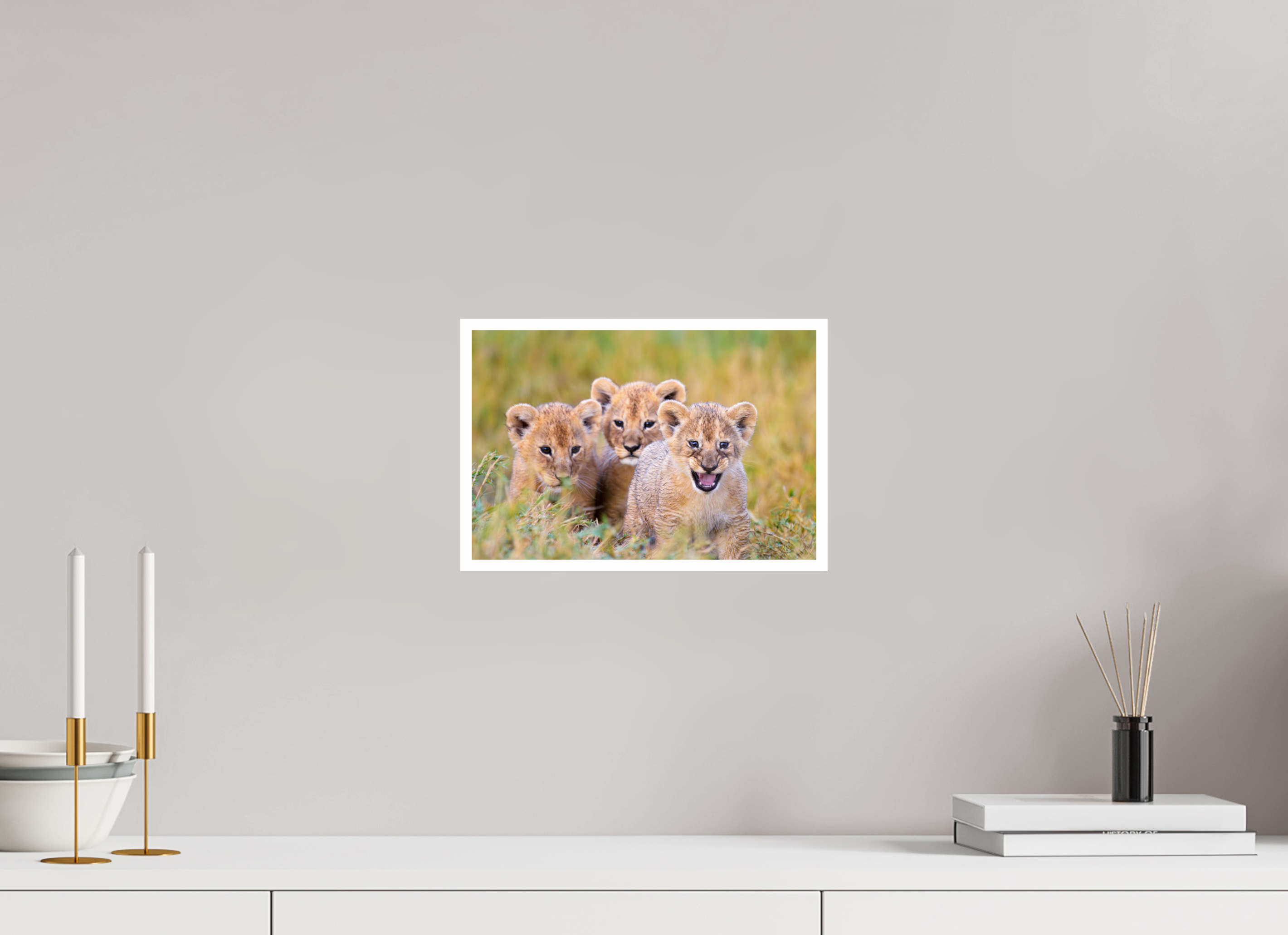 12 x 8″, Hahnemuhle FineArt Baryta Lion Cubs on the move in Tanzania