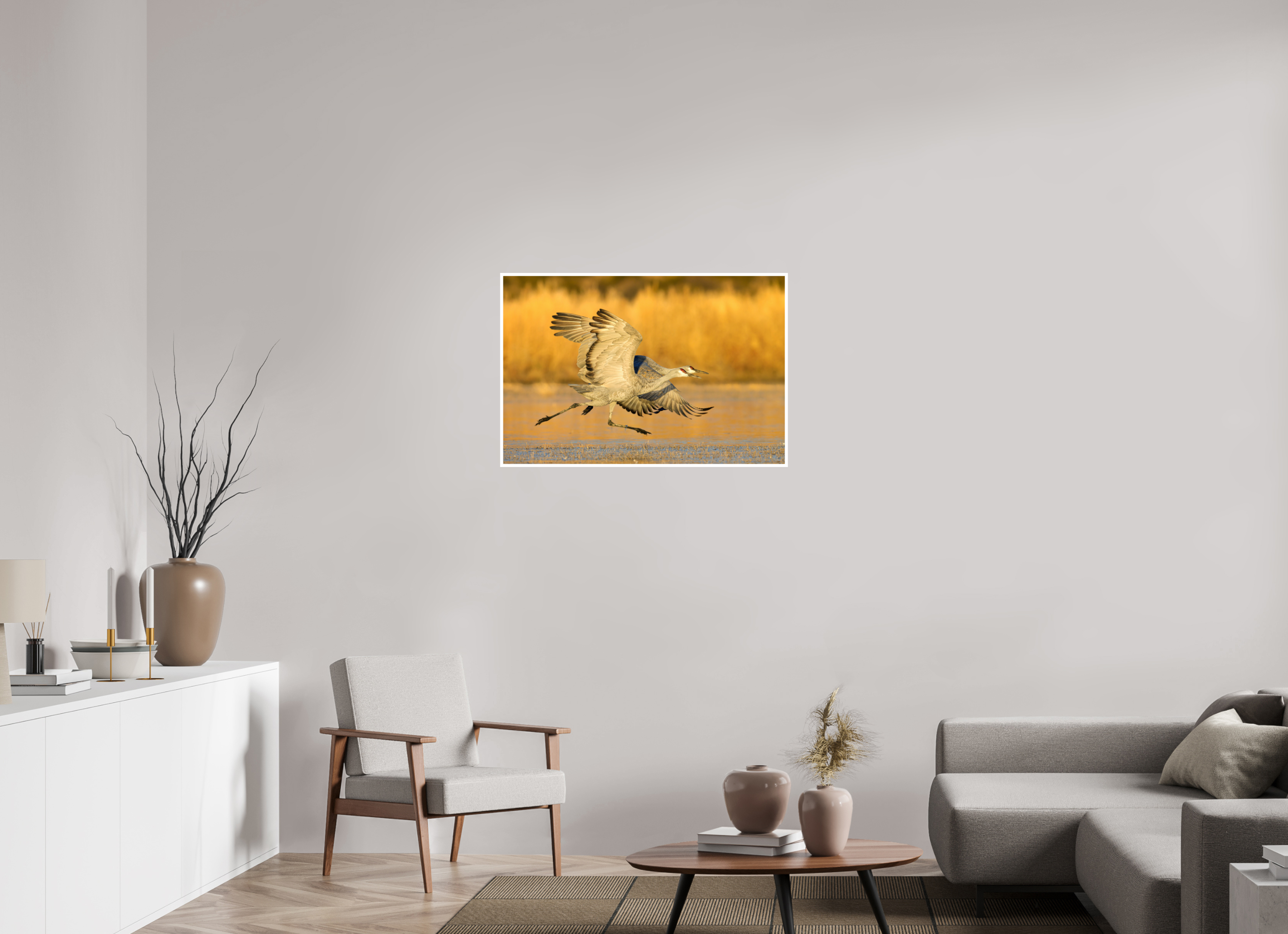 36 x 24″, Hahnemuhle FineArt Baryta Sandhill Cranes Liftoff at Bosque del Apache