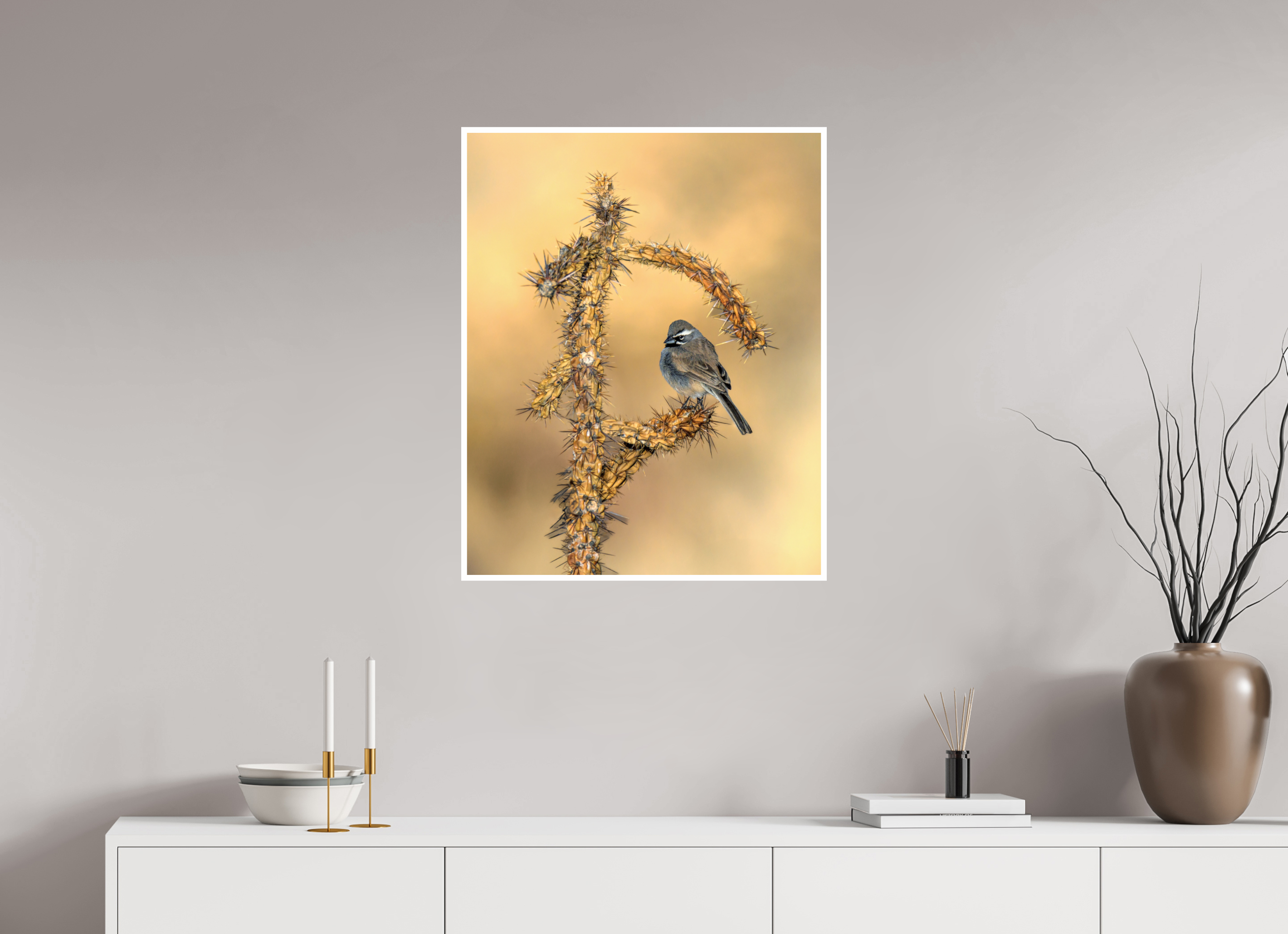 24 x 30″, Hahnemuhle FineArt Baryta Black-throated Sparrow on Cholla Cactus