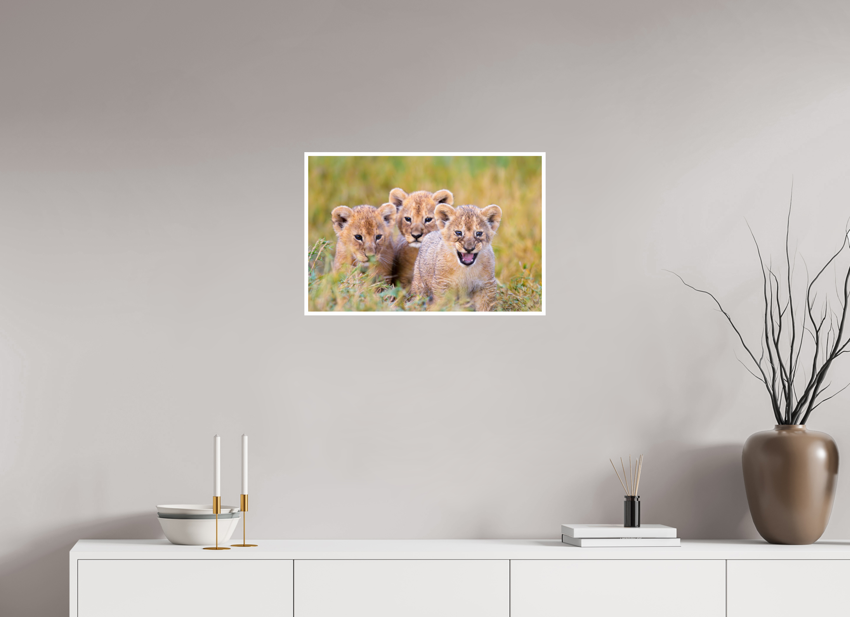 24 x 16″, Hahnemuhle FineArt Baryta Lion Cubs on the move in Tanzania