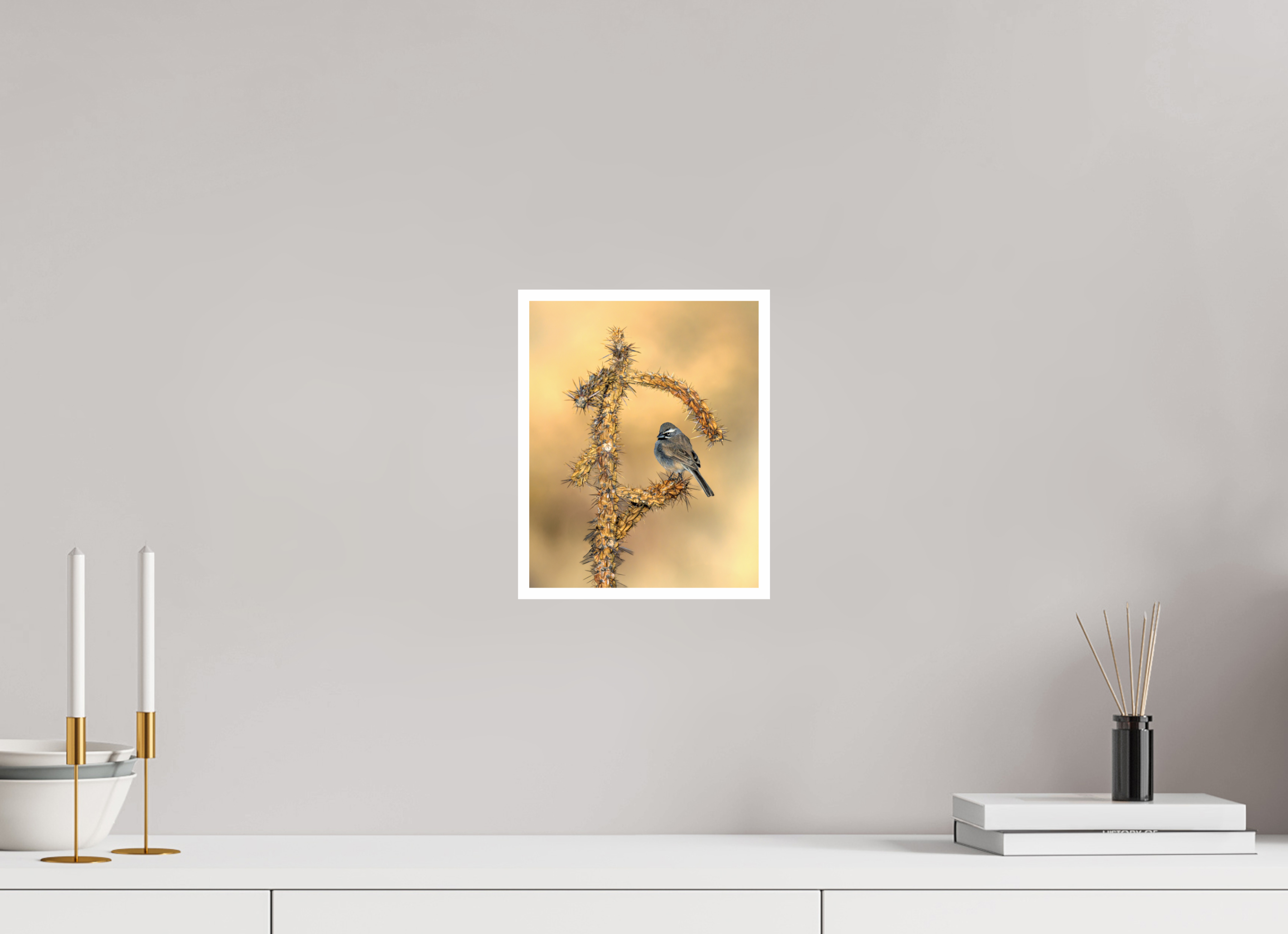 8 x 10″, Hahnemuhle FineArt Baryta Black-throated Sparrow on Cholla Cactus