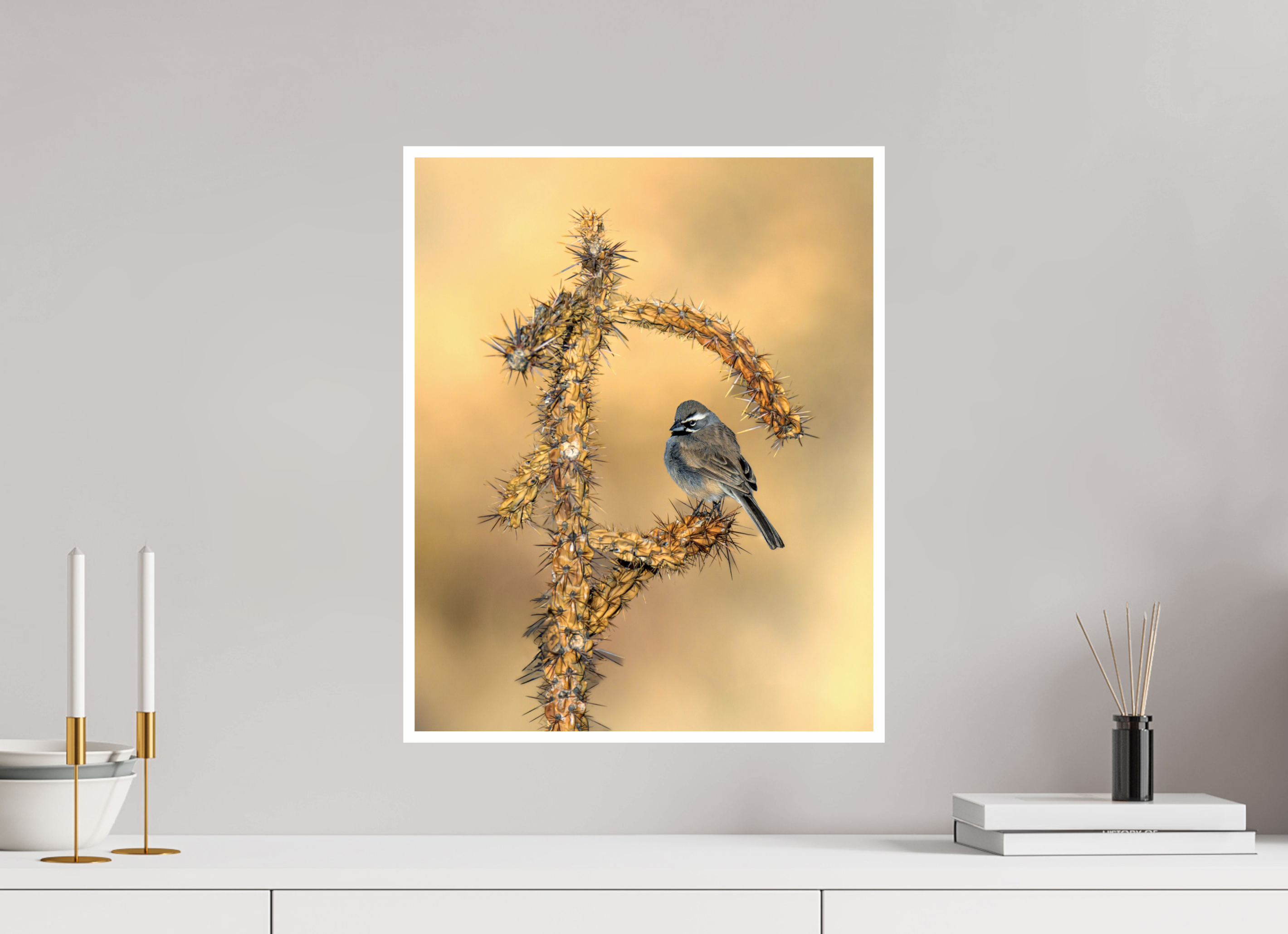 Main image Black-throated Sparrow on Cholla Cactus