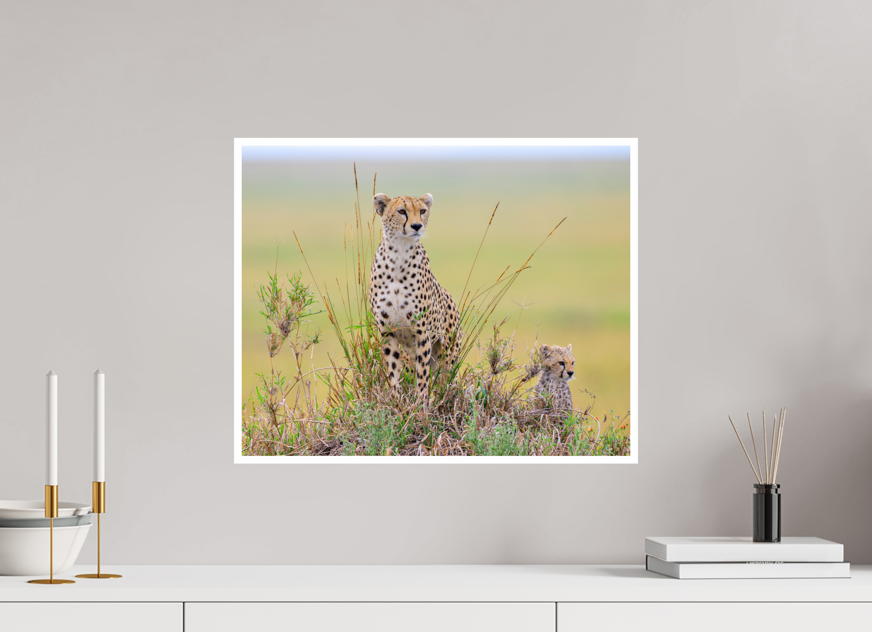 Main image Cheetah and Cub on Alert in Tanzania