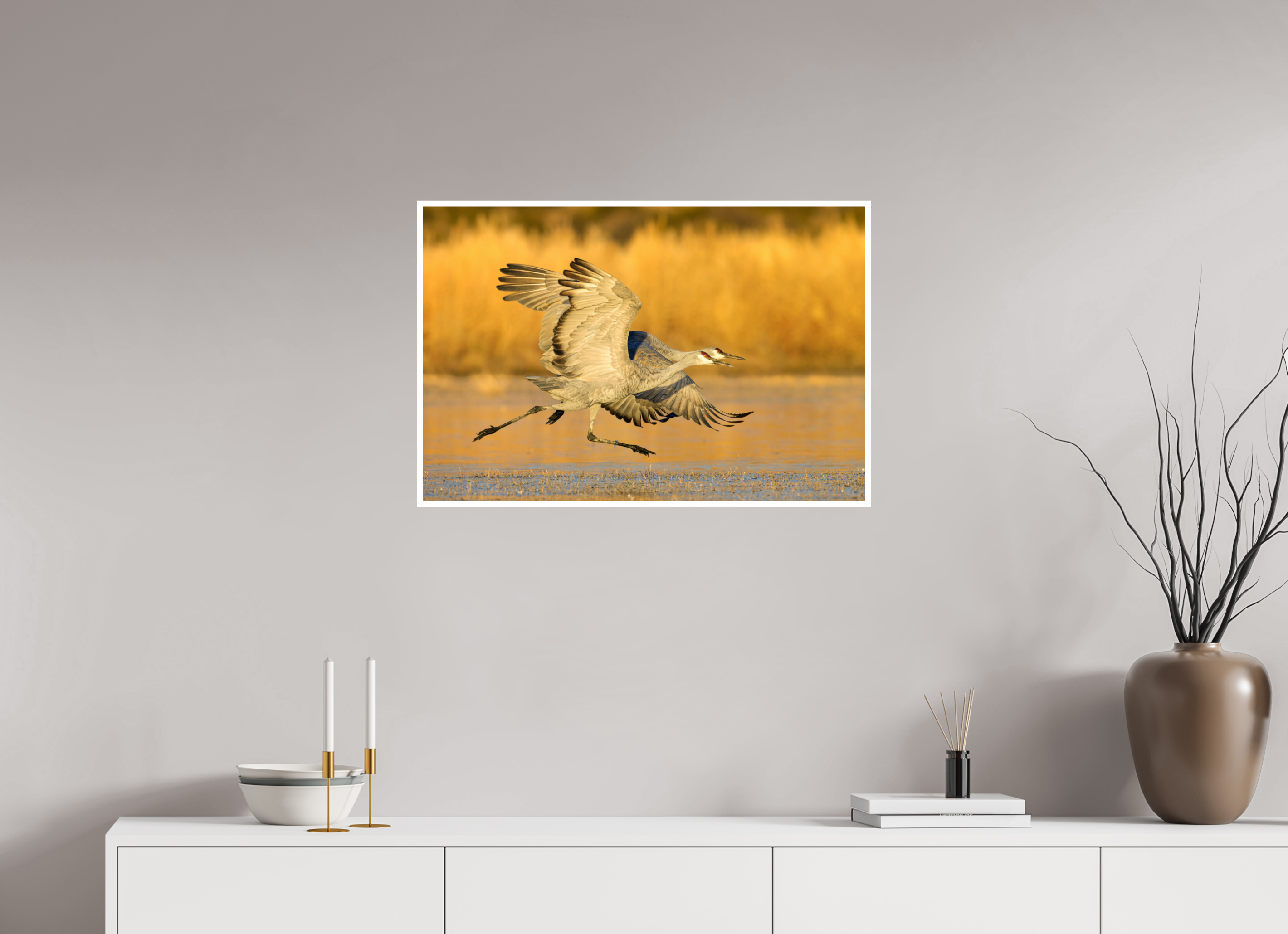 Main image Sandhill Cranes Liftoff at Bosque del Apache