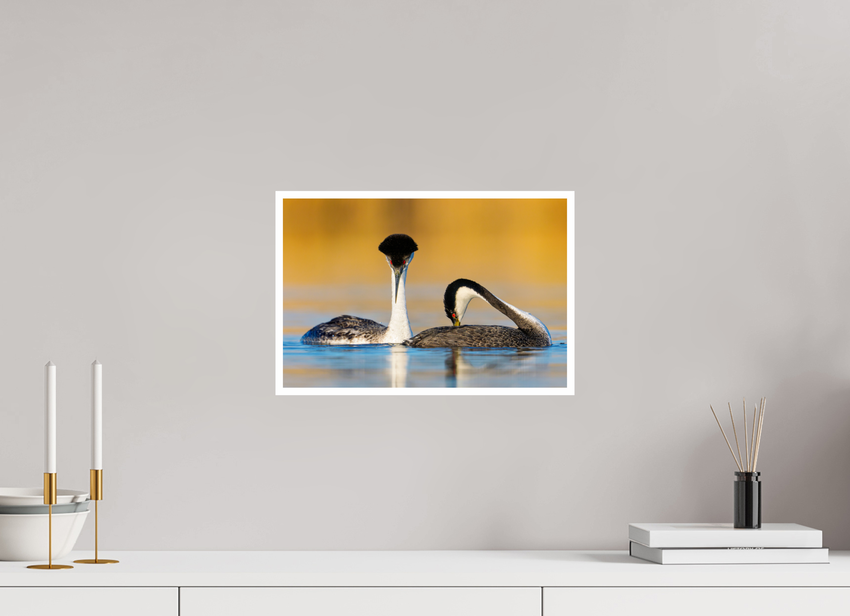 Main image Pair of Western Grebes in Courtship